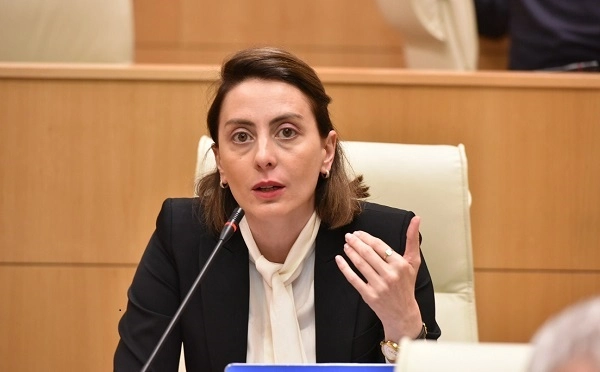 მოგიწოდებთ ყველას, დაუშვით საერთაშორისო ექსპერტები ციხეში - ხატია დეკანოიძე