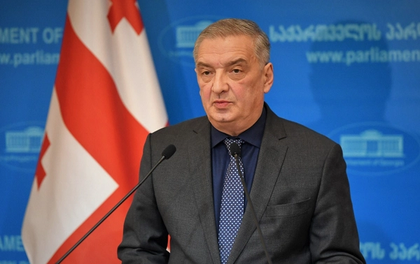 ელისაშვილის პოზიცია არის სახელმწიფოებრივი და უპირისპირდება საქართველოსთვის არაკეთილმოსურნე მხარეს - ვოლსკი