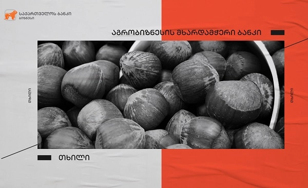 საქართველოს ბანკის მხარდაჭერით ოზურგეთში თხილის გადამამუშავებელი ქარხნის წარმოება იზრდება