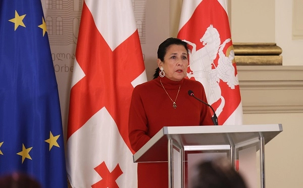 მიუღებლად მიმაჩნია პარლამენტის თავმჯდომარის მიერ ახალგაზრდების მიმართ გაკეთებული განცხადება, ასეთი შეფასებები შესაძლოა, მხოლოდ დაძაბულობის გამძაფრებას ემსახურებოდეს - პრეზიდენტი