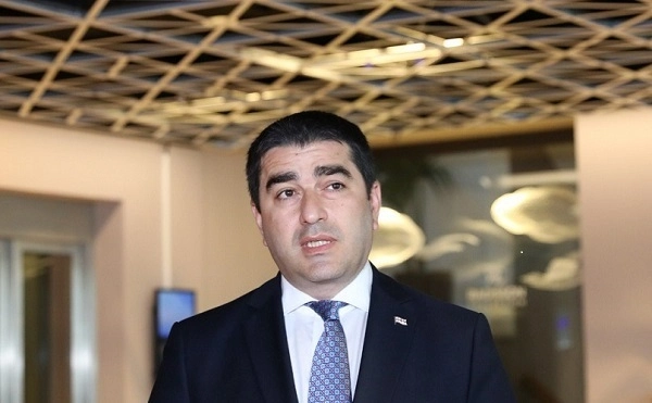 ევროსაბჭოს რეზოლუციაში სწორედ ის არის მნიშვნელოვანი, რომ ყველა ხედავს პროგრესს, ჩვენი ოპოზიციის ნაწილისგან განსხვავებით - პაპუაშვილი