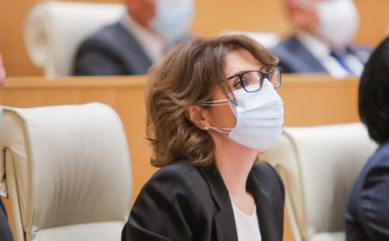 როგორ შეიძლება, ავამუშაოთ კულტურული დიპლომატია? - ელისო ბოლქვაძე ირაკლი ღარიბაშვილს