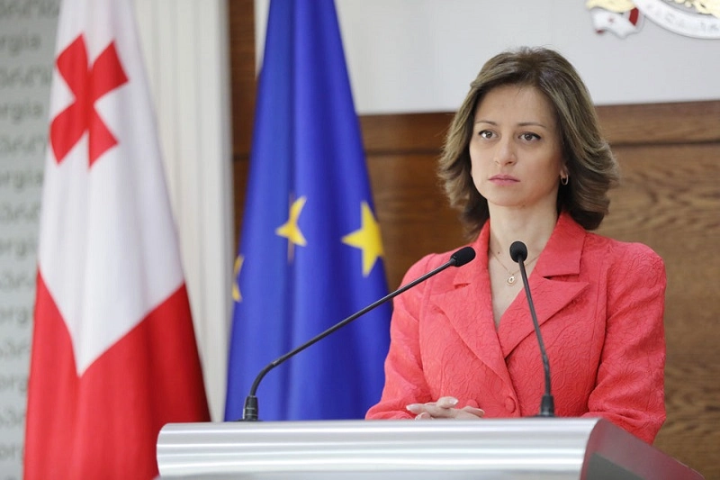 არ გამოვრიცხავ კოვაქს პლატფორმას ვუჩივლოთ - ეკატერინე ტიკარაძე