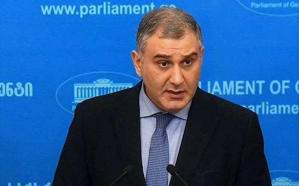 სარჯველაძე გამორიცხავს, რომ დეოლიგარქიზაციის კანონი პერსონალურად ივანიშვილზე გავრცელდეს