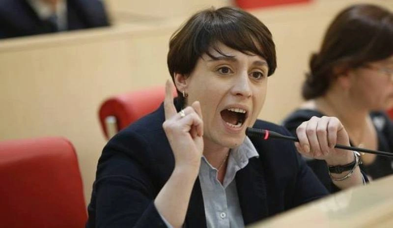 ,,ჩვენი ქალაქის მაცხოვრებლებს, დაკარგული აქვთ პოლიტიკოსების მიმართ ნდობა'' - ელენე ხოშტარია