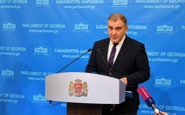 რატომ გახდა მაინც და მაინც საყვედურების ადრესატი საქართველო მაშინ, როცა უფრო მეტი "სასაყვედურო" შეიძლება უკრაინას სხვა არაერთი სახელმწიფოს მიმართ ჰქონდეს - სარჯველაძე
