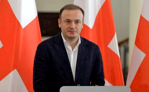 გუშინ, შვიდკაციანი კოლონა რომ მოდიოდა, იქაც კი დაჩაგრეს ხაბეიშვილი, რა ვუშველო, არ ვიცი, არც იქანა უნდათ, არც აქანა მიიღეს, იქაც უკან მოჩანჩალებდა - ირაკლი ზარქუა