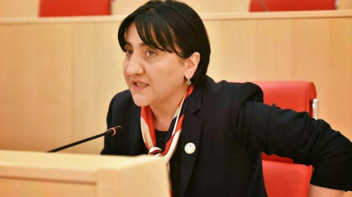 კოაბიტაციის იდეა ბერძენიშვილებმა, ხიდაშელმა შექმნეს და „ქართულ ოცნებას“ თავს მოახვიეს - ირმა ინაშვილი