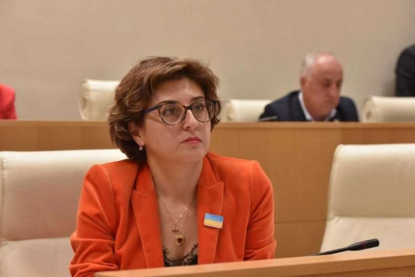 ყველა შეხვედრაზე ჩანდა პოზიტიური დამოკიდებულება, გერმანია მხარს უჭერს, საქართველომ მიიღოს კანდიდატის სტატუსი - ხათუნა სამნიძე  