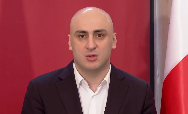 მნიშვნელოვანია კონსოლიდაცია, უნდა ვიპოვოთ ძალა და სააკაშვილის მდგომარეობის გამოსასწორებლად ყველაფერი ვიღონოთ - ნიკა  მელია