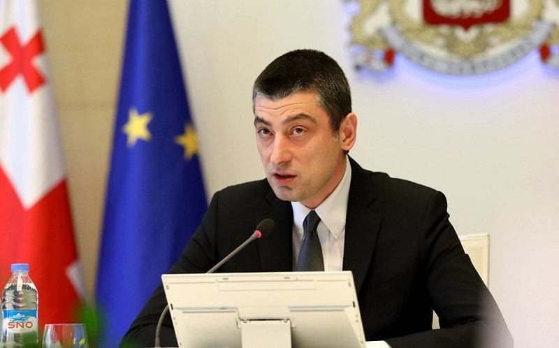 დღეს საქართველო, 100 000 მოქალაქეზე საშუალო ევროპულ ქვეყანაზე უფრო მეტ ტესტს აკეთებს -  გახარია