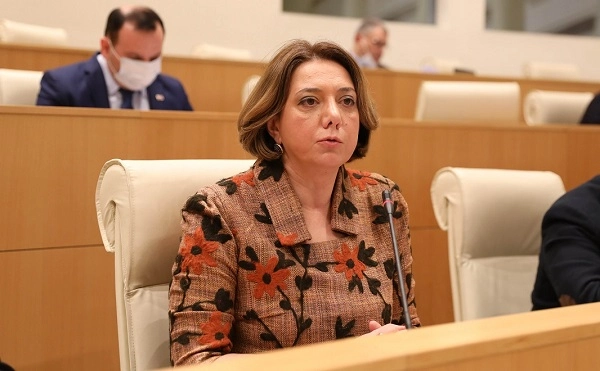  მივმართავ ხელისუფლებას, დღესვე მიეცეს შესაძლებლობა დამოუკიდებელ ექსპერტიზას, შეხვდეს მიხეილ სააკაშვილს და შეფასდეს მისი ჯანმრთელობის მდგომარეობა - სამადაშვილი