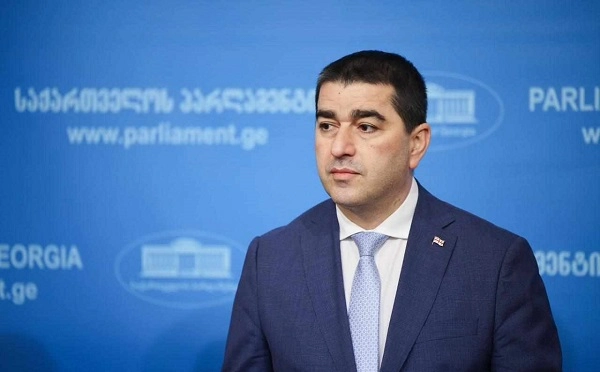 ევროკომისიის პრესსპიკერი სოლიდარობას უცხადებს ლევან ხაბეიშვილის მიერ 4 ოქტომბერს დაანონსებულ დამხობის აქციას, ეს არის კატასტროფა და შესაძლო ძალადობაზე პასუხისმგებლობის გაზიარება - შალვა პაპუაშვილი