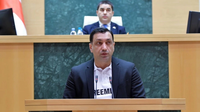 მათთვის მთავარი, კანდიდატის სტატუსის მიღება კი არა, არამედ  საქართველოსა და ევროკავშირს შორის ურთიერთობის გამწვავებაა - ბეჟაშვილი კობახიძის განცხადებაზე 