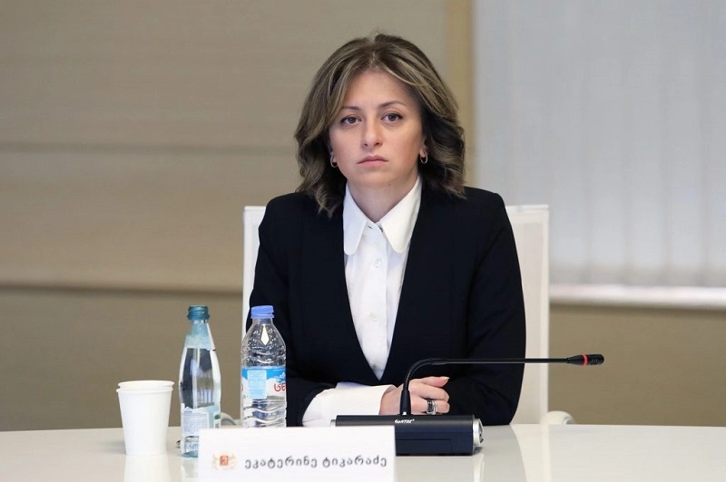 ეკლესიის კლასტერთან დაკავშირებით გამოვლენილი შემთხვევები არ გვაქვს - ეკატერინე ტიკარაძე