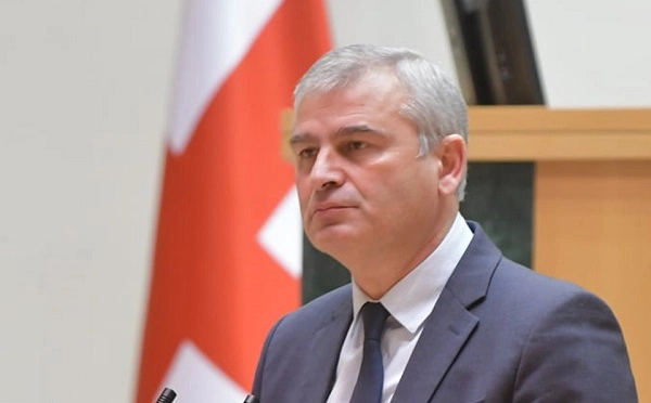 ეგ რომ საზღვარგარეთ ცხოვრობდა, მე აქ რუსეთის წინააღმდეგ ვიბრძოდი - ირაკლი ქადაგიშვილი სალომე ზურაბიშვილზე
