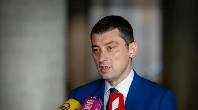 ნარკოპოლიტიკის მიმართულებით გადაწყვეტილების გაჭიანურება უკურეაქციას გვაძლევს - გახარია
