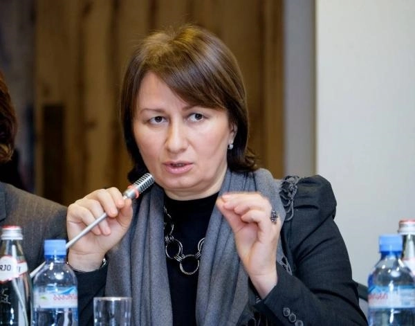იქნება ვეტო თუ არა, ეს არ არის თამაშის თემა - ფიქრია ჩიხრაძე