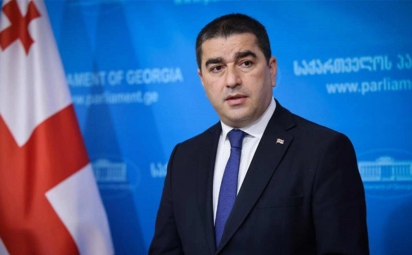 კრიმინალები გვარამია და მელია უცხოეთიდან ჩარევის შედეგად არიან გარეთ, კინო წინ არის, ისინი იქნებიან იმ დავალების შემსრულებლები, რასაც ჰქვია ქვეყანაში სიტუაციის არევა - პაპუაშვილი