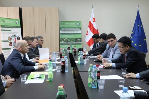 ჩინეთი საქართველოში ჩაის განვითარების გრანდიოზულ პროექტს იწყებს