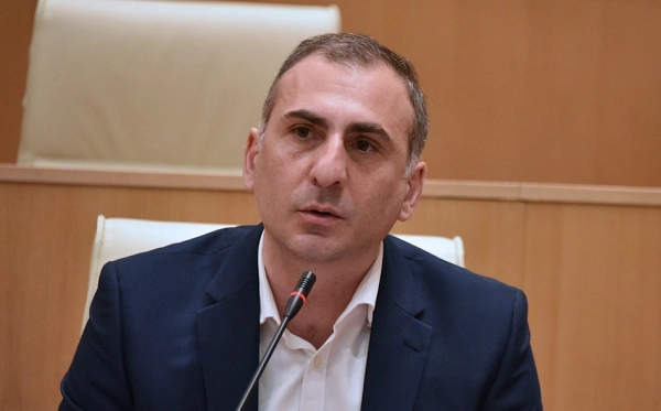 გაოცებული ვარ, რომ ვენეციის კომისიაში აგზავნიან, ,,გოს დუმაში“, და კიდევ,,სავეტ ფედერაციი“ რომ ჰქვია, იქ გაგზავნონ - ელისაშვილი ხალხის ძალის ინიციატივაზე