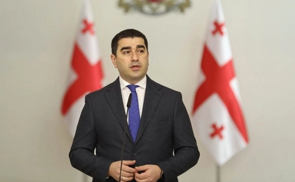 მოვუწოდებ ყველა პოლიტიკურ ჯგუფს, გვერდში დაუდგეს საქართველოს მთავრობას იმისთვის, რომ ერთიანი პოზიციის ნაწილი  გახდეს ყველას  ძალისხმევა ევროკავშირში წევრობასთან დაკავშირებით - პაპუაშვილი