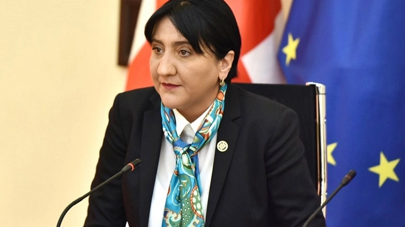 ნიკა მელიას მიმართ მთელი რიგი ღონისძიებები უკანონოდ განხორციელდა - ირმა ინაშვილი