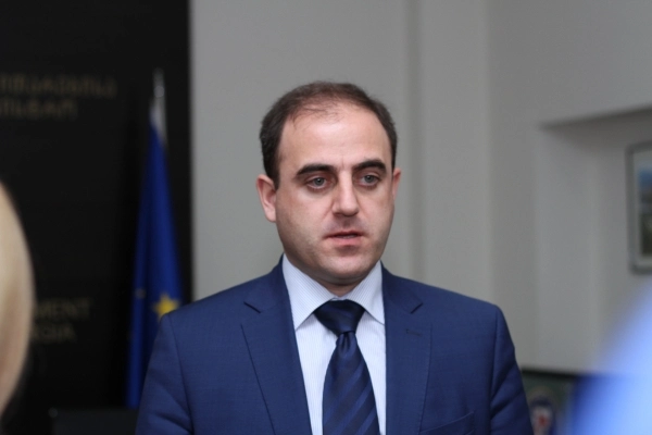 დავით ნარმანია: ქართული ოცნება ნამდვილად ახდა