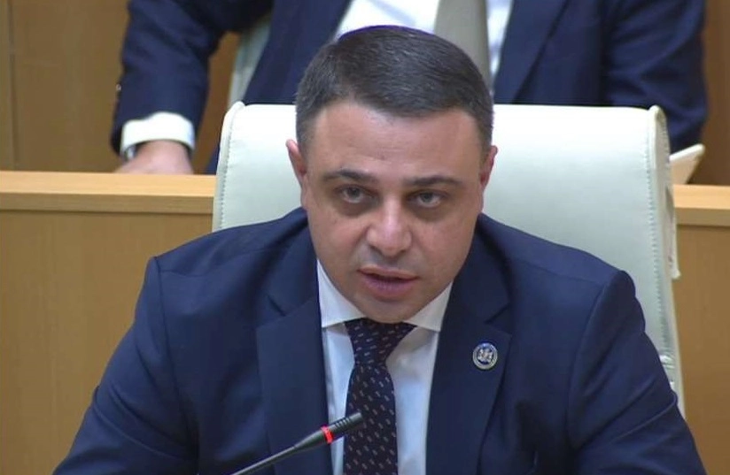 ვგმობთ ყოველგვარ ძალადობას, მიუღებელია ასეთი სამარცხვინო საქციელი  - ალუდა ღუდუშაური