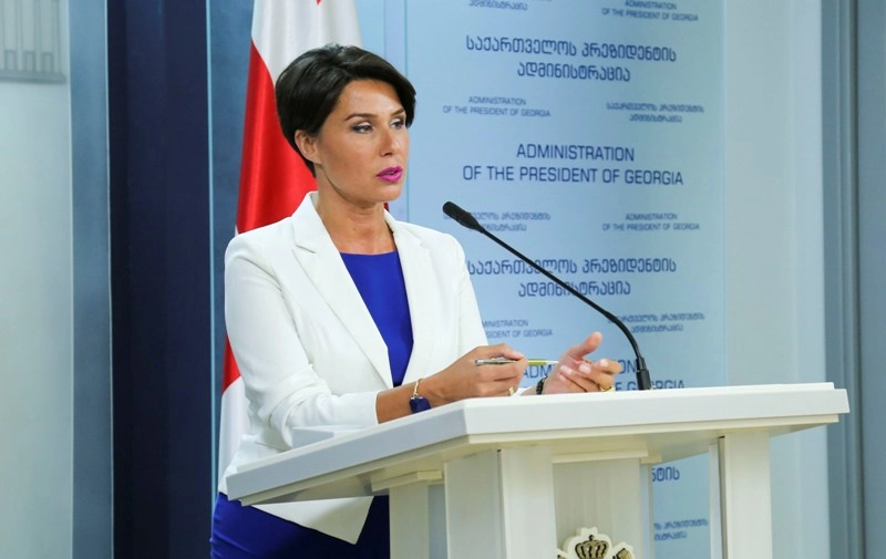 ასეთია ევროპა და საქართველო აქეთკენ მიისწრაფვის - პრეზიდენტის პრეს-სპიკერი ევროსასამართლოს გადაწყვეტილებაზე