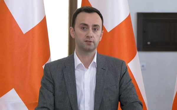 დელეგაცია მიდიოდა ბრიუსელში და თუ არ ჰქონდათ ერთი ადგილი, რომ მიეღოთ ეს ქვეყნები, მაშინ თამამად შეეძლოთ სხვა ადგილი გამოეყოთ, საბავშვო ბაღია, რაც ბრიუსელის მხრიდან ვნახეთ - ლევან მახაშვილი