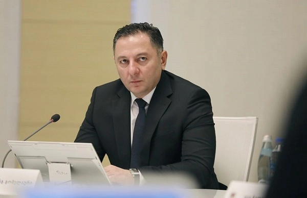 არც ერთ რიგით პოლიციელს ჩვენი მოქალაქის დაჯარიმება არ გვიხარია, მძიმე სიტუაციაა, მაგრამ კანონი უნდა დაიცვას ყველამ - გომელაური